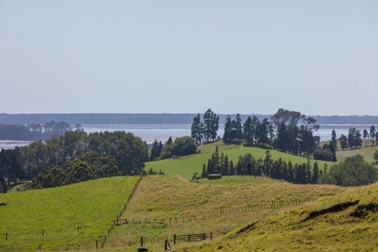 Photo of property in 250 Busby Road, Tahawai, 3170