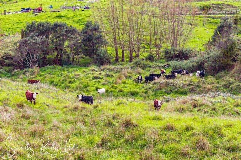 Photo of property in 260 Mountain Road, Maungaturoto, 0587