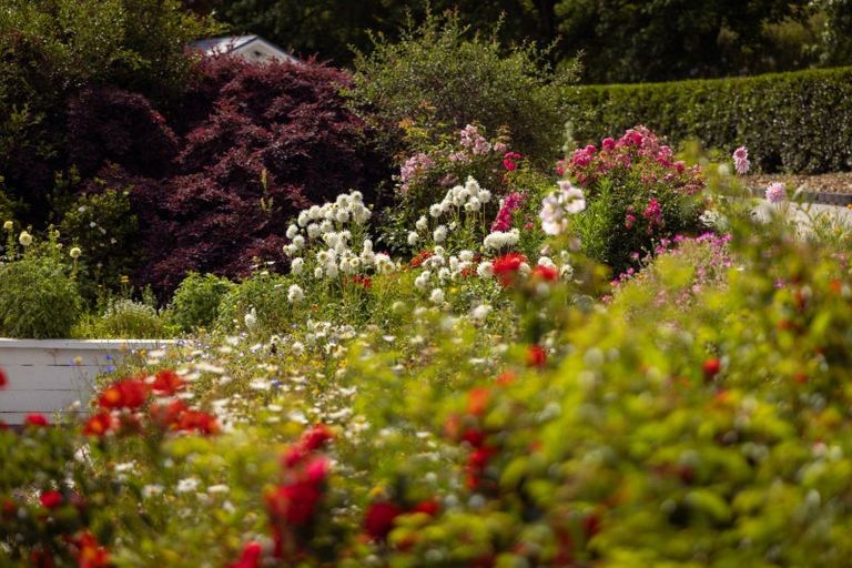 Photo of property in 14 Grasmere Way, Bethlehem, Tauranga, 3110