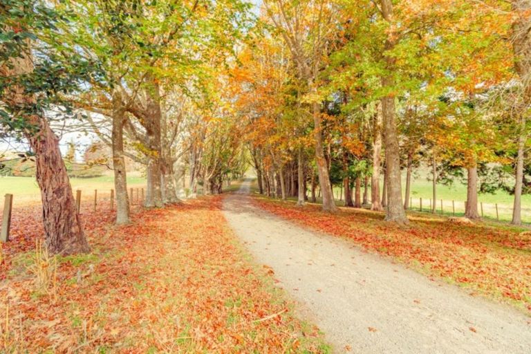 Photo of property in 94 Pa Valley Road, Alfredton, Eketahuna, 4996