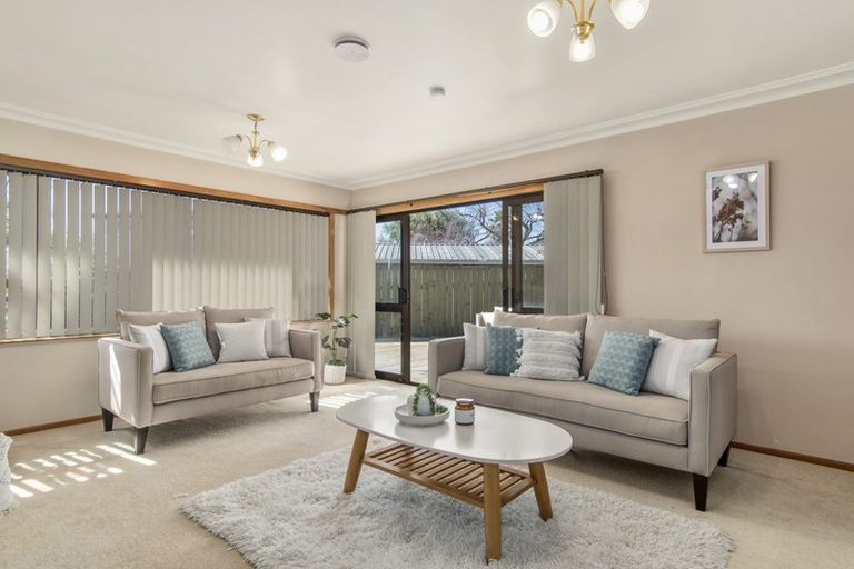 Photo of property in 162 Fraser Street, Tauranga South, Tauranga, 3112