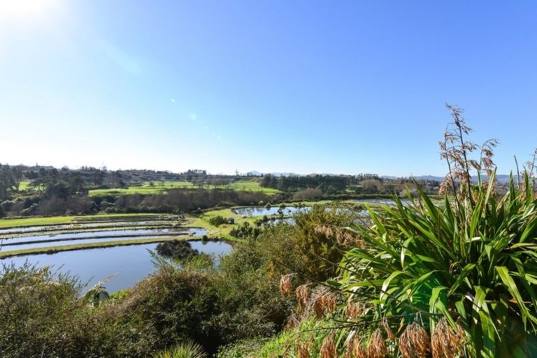 Photo of property in 54 Taawharuwharu Lane, Cambridge, 3495