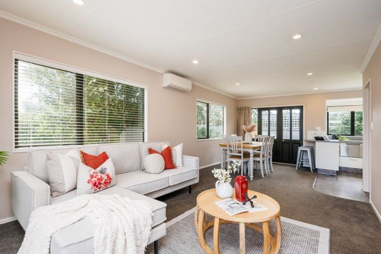 Photo of property in 166 Cambridge Avenue, Ashhurst, 4810