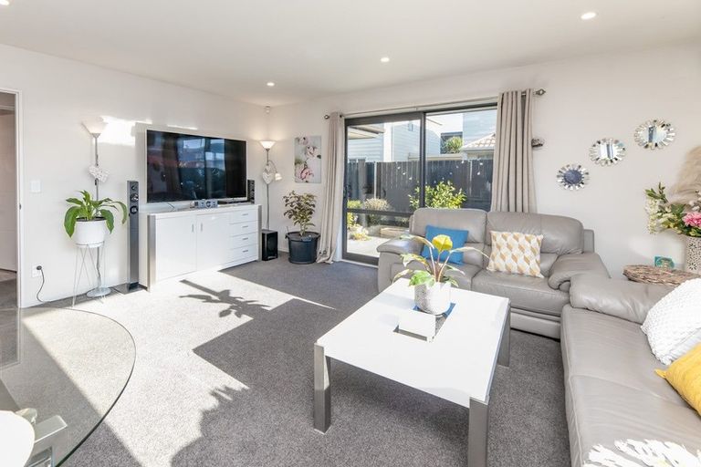 Photo of property in 19c Walpole Street, Waltham, Christchurch, 8023