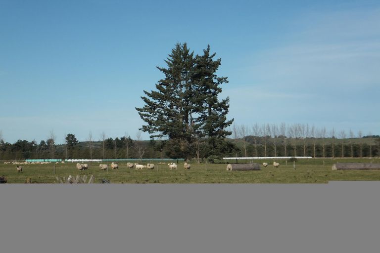 Photo of property in 675 Woodbury Road, Woodbury, Geraldine, 7991