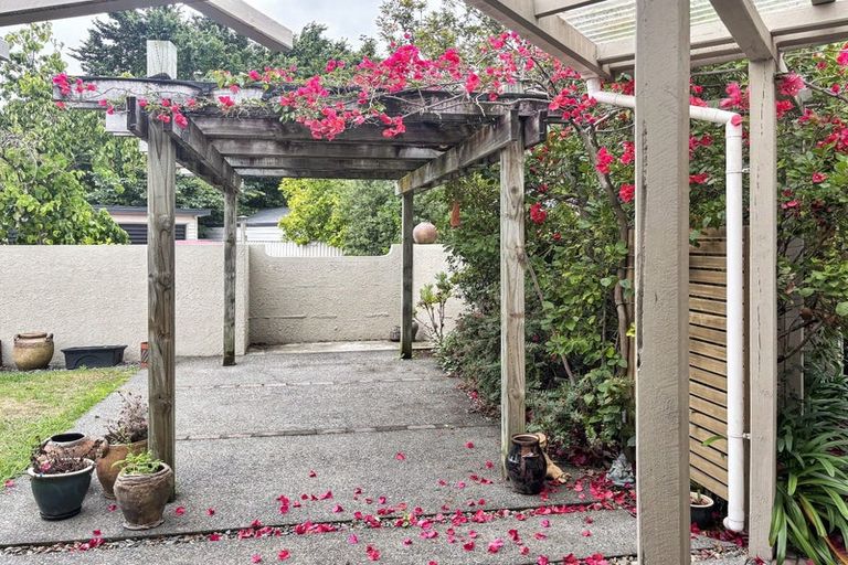 Photo of property in 47 Sanders Avenue, Marewa, Napier, 4110