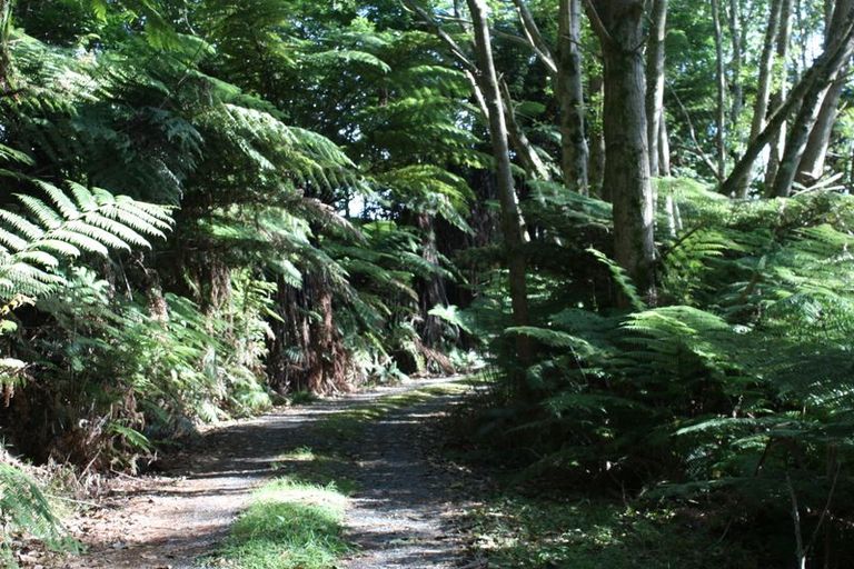 Photo of property in 397 Karakariki Road, Whatawhata, Hamilton, 3289