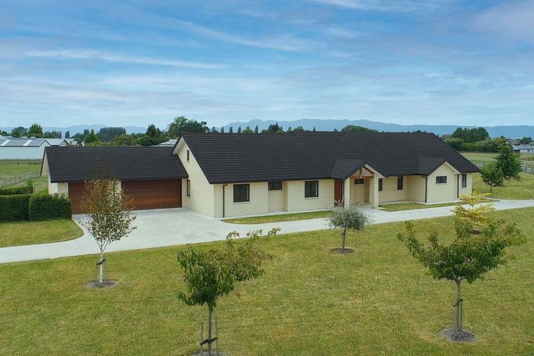 Photo of property in 90 Everad Avenue, Matamata, 3472