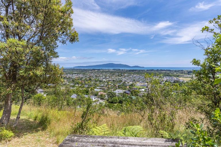 Photo of property in 61a Kotare Street, Waikanae, 5036