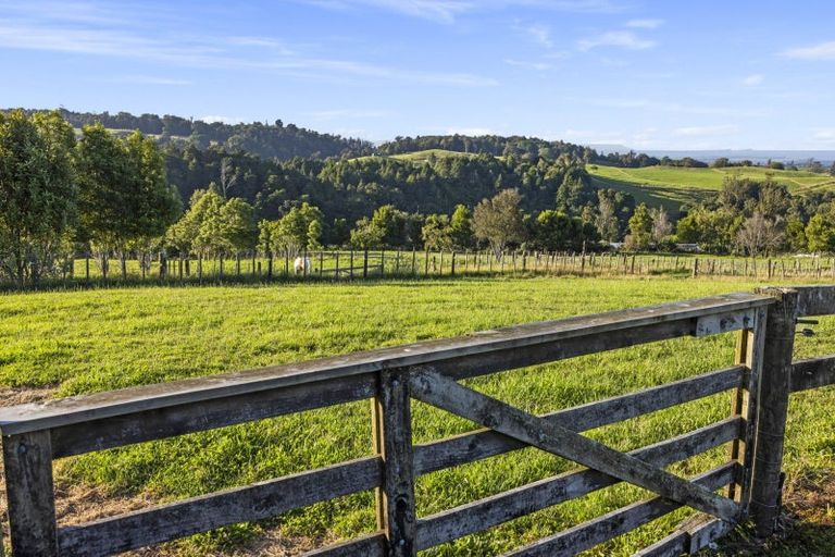 Photo of property in 236a Tim Road, Whakamarama, Tauranga, 3180