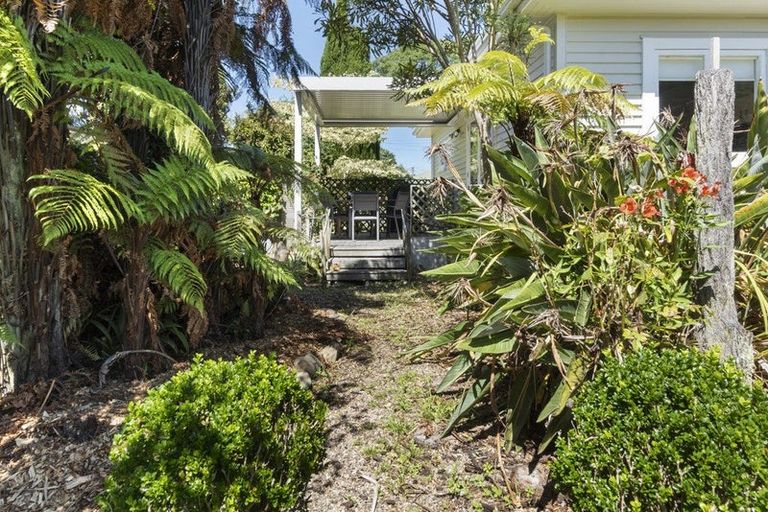 Photo of property in 49 Brookfield Street, Hamilton East, Hamilton, 3216