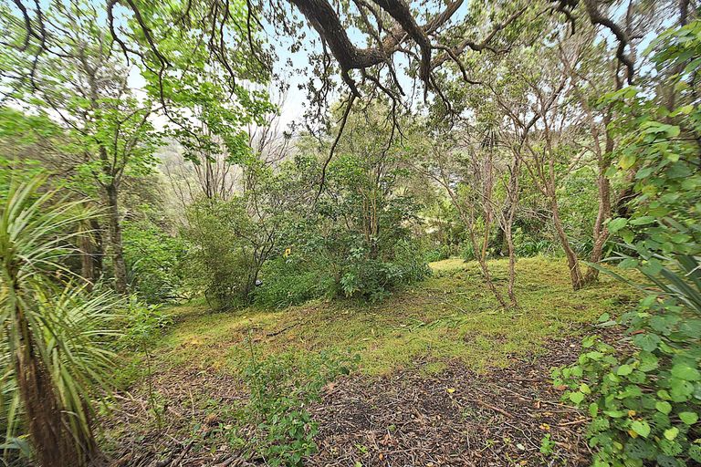 Photo of property in 17 Hillside Crescent, Leigh, 0985