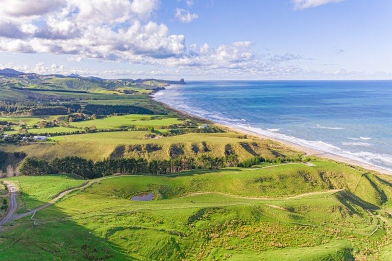 Photo of property in 1352 Otahome Road, Otahome, Masterton, 5872