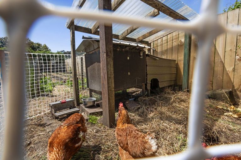 Photo of property in 66 Massey Street, Kawerau, 3127