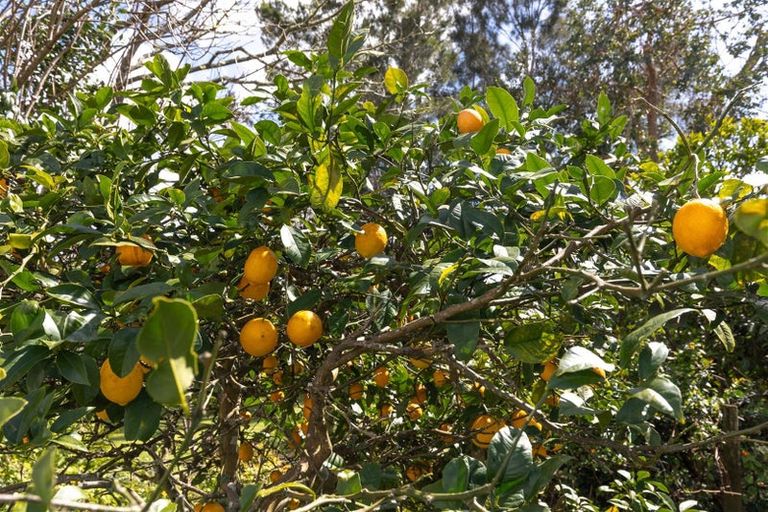 Photo of property in 96 Russell Road, Huntly, 3700