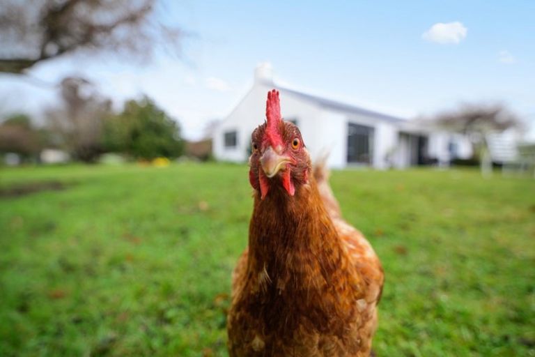 Photo of property in 123 Brunswick Drive, Tikitere, Rotorua, 3074