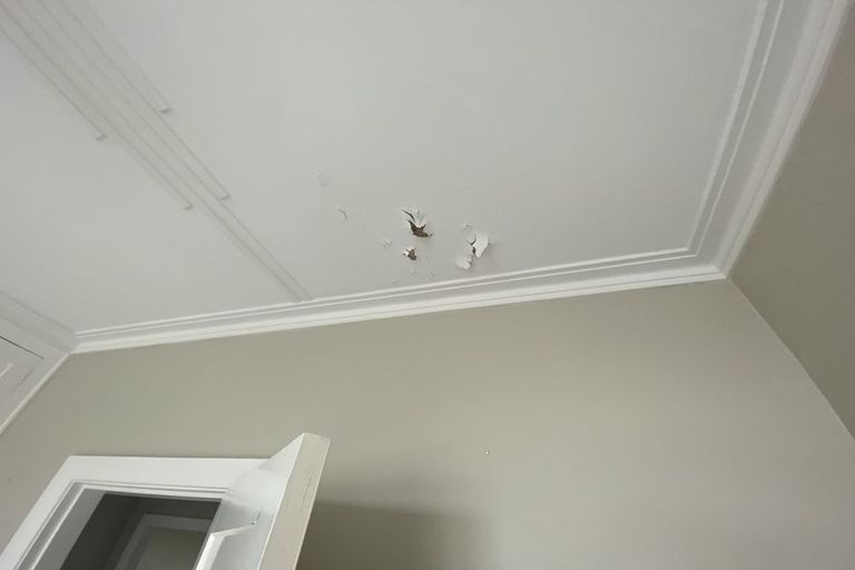 Photo of property in 19 Picardy Street, Maryhill, Dunedin, 9011