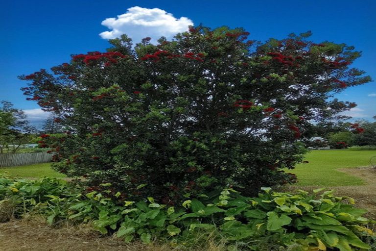 Photo of property in 10 Goebel Street, Tinopai, 0593