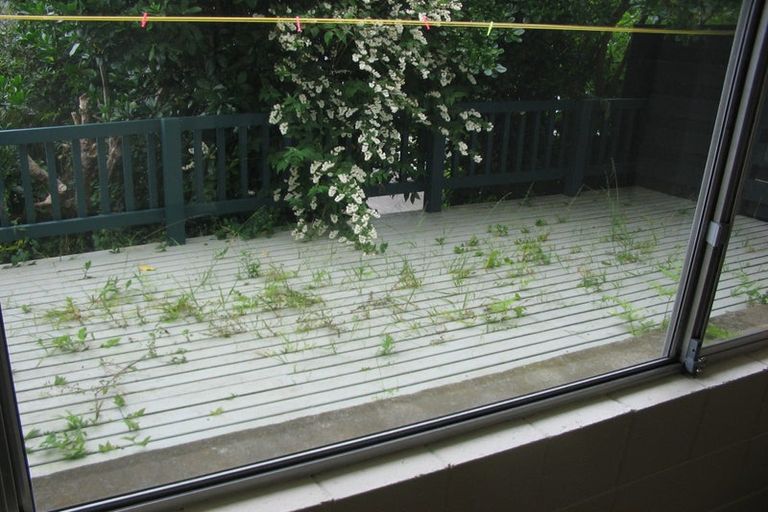 Photo of property in 2/219 Grant Road, Thorndon, Wellington, 6011