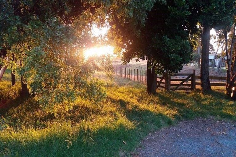 Photo of property in 102 Reid Road, Glenbrook, Waiuku, 2681