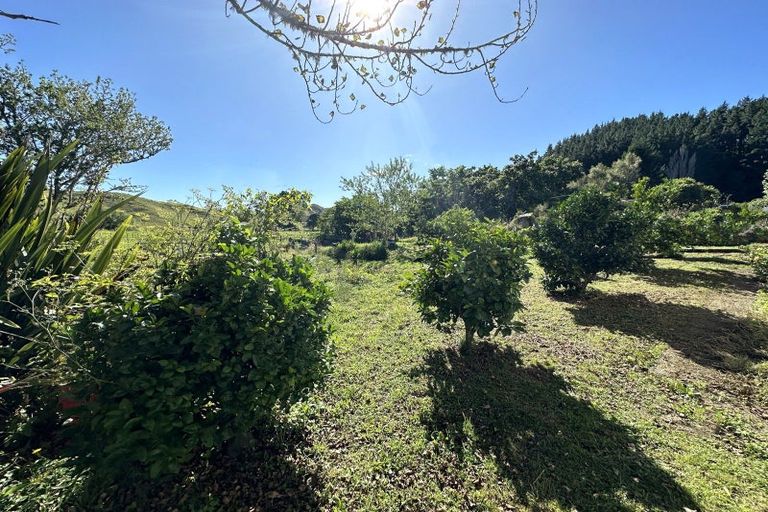 Photo of property in 16 Williams Avenue, Ohura, 3926