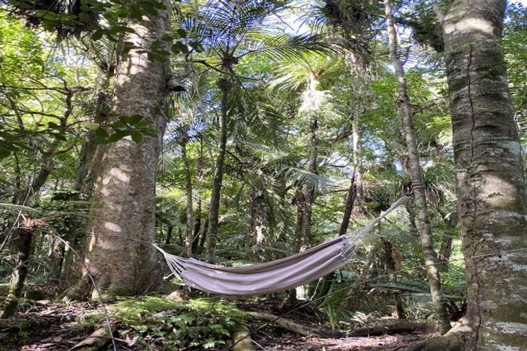 Photo of property in 1052 Wekaweka Road, Waimamaku, Kaikohe, 0473