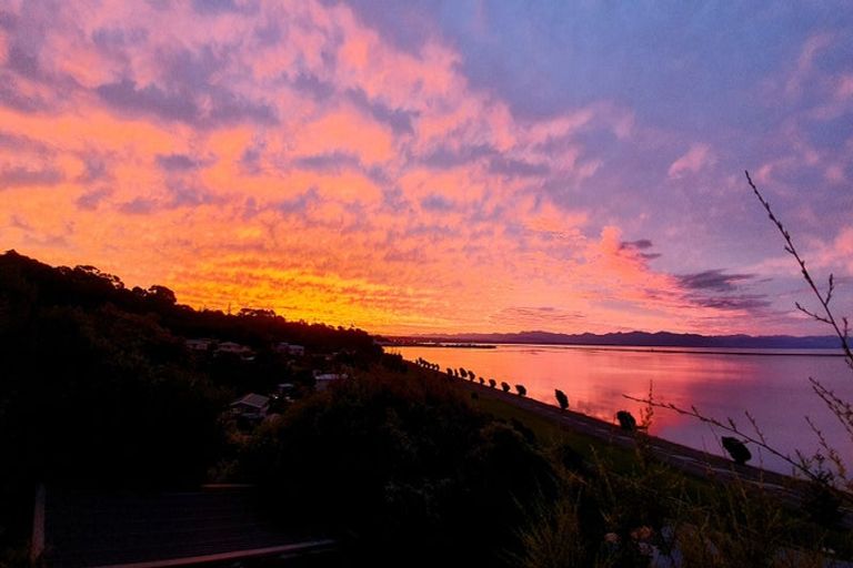 Photo of property in 324 Atawhai Drive, Atawhai, Nelson, 7010