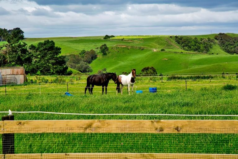 Photo of property in 444 Fraser Road, Normanby, Hawera, 4673