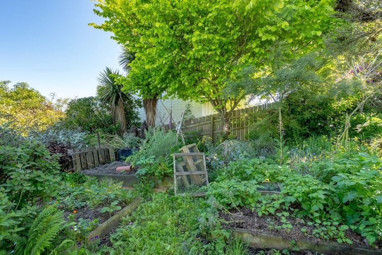 Photo of property in 40 Scobie Road, Waverley, Dunedin, 9013