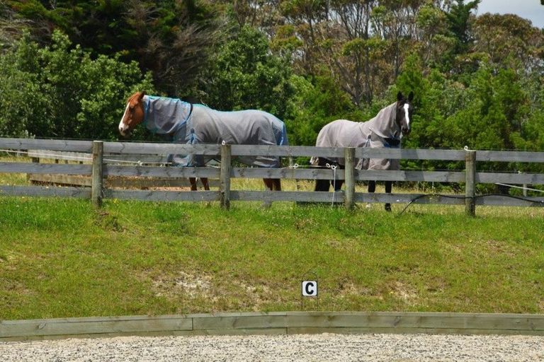 Photo of property in 639 Peak Road, Helensville, 0875