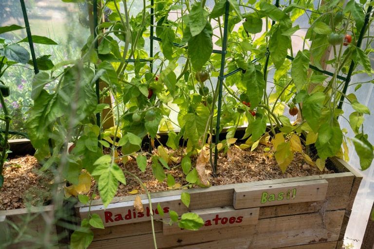 Photo of property in 52 Shelley Street, Leamington, Cambridge, 3432