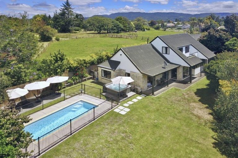 Photo of property in 19 Randell Place, Te Puke, 3119