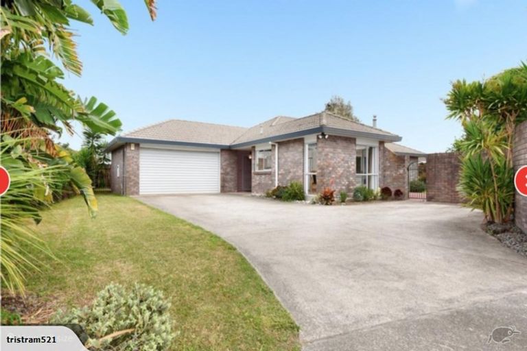 Photo of property in 19 Jasmine Place, Mount Maunganui, 3116