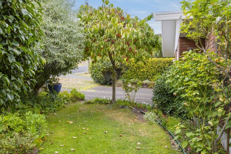 Photo of property in 67 Ngamotu Road, Hilltop, Taupo, 3330