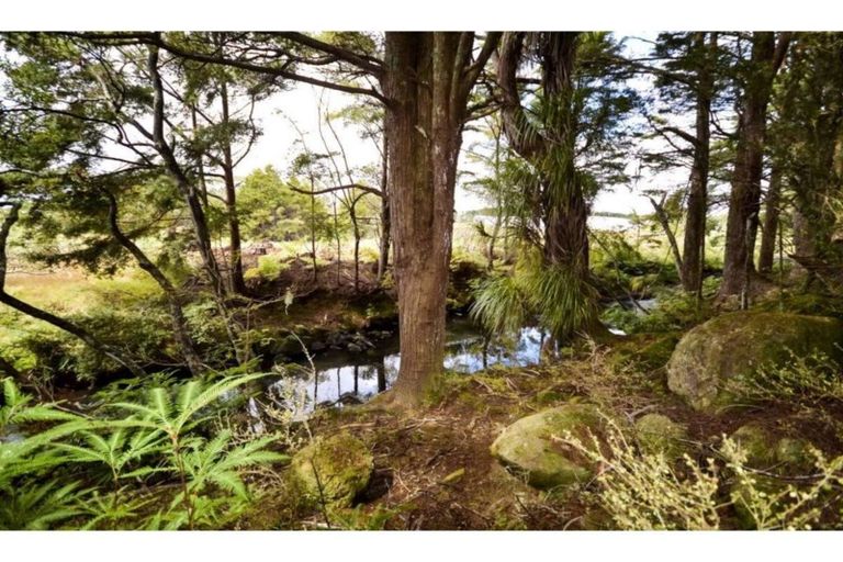 Photo of property in 72 Morris Lane, Kerikeri, 0294