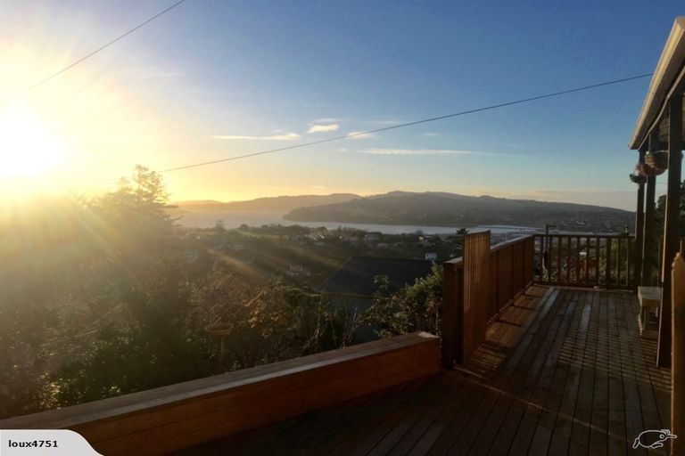 Photo of property in 98 Maryhill Terrace, Maryhill, Dunedin, 9011