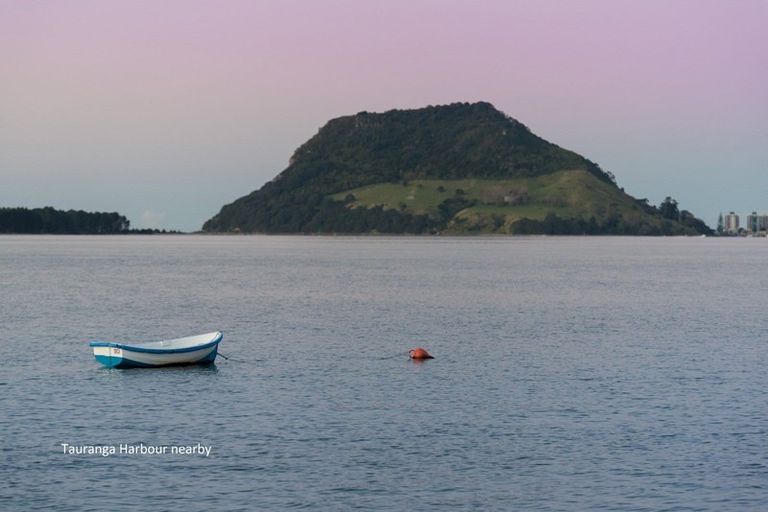 Photo of property in 9 Edith Way, Matua, Tauranga, 3110