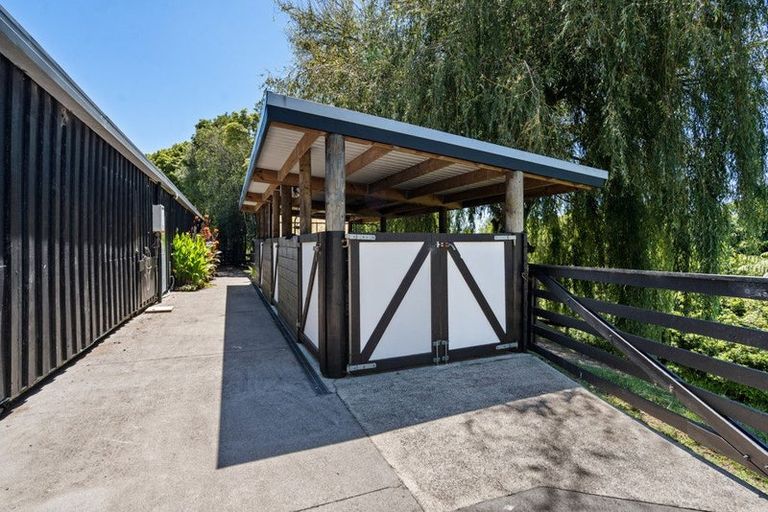 Photo of property in 180 Paparoa Road, Wainui, Whakatane, 3198