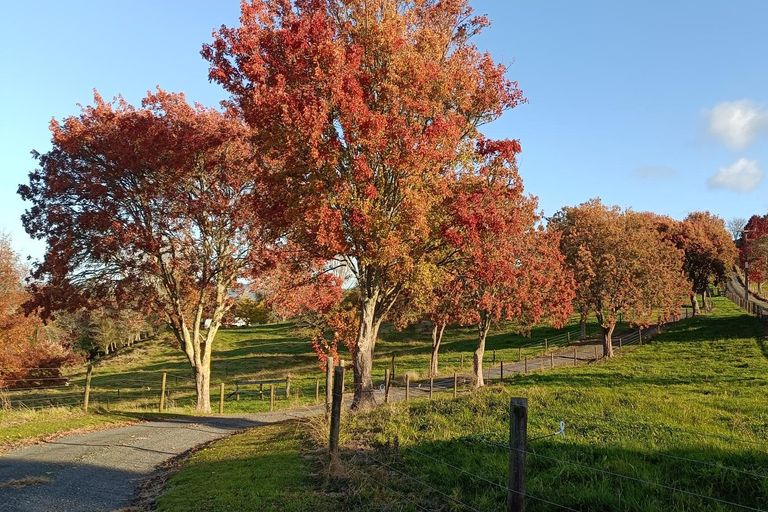 Photo of property in 76b Scott Road, Morrinsville, 3372