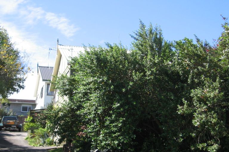 Photo of property in 19 Faulkner Street, Gate Pa, Tauranga, 3112