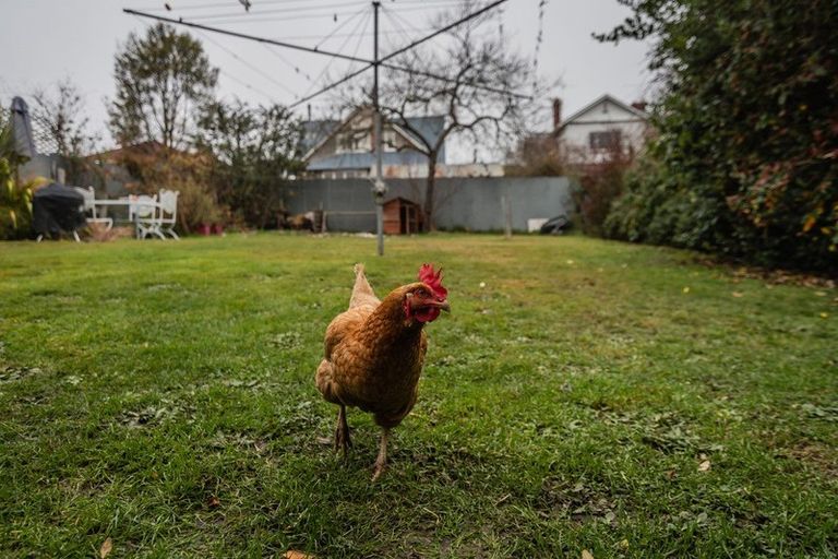 Photo of property in 34 Sefton Street, Seaview, Timaru, 7910