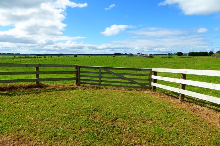 Photo of property in 396 Waiau Pa Road, Waiau Pa, Pukekohe, 2679