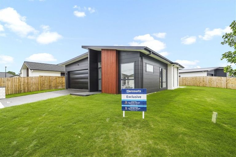 Photo of property in 29 Maggie Place, Chartwell, Hamilton, 3210