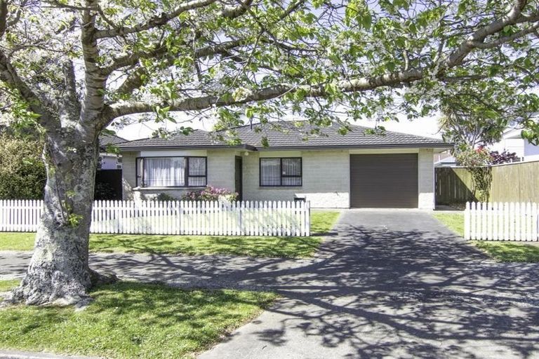 Photo of property in 85 Guy Avenue, Takaro, Palmerston North, 4410