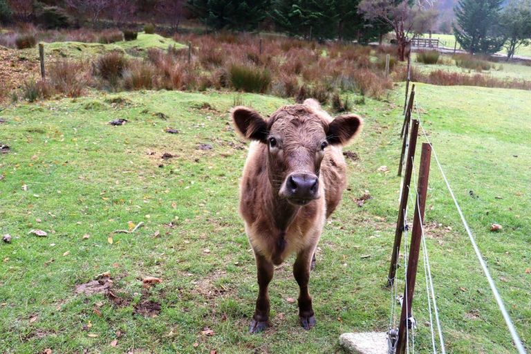 Photo of property in 26 Briggs Road, Onamalutu, Wairau Valley, 7275