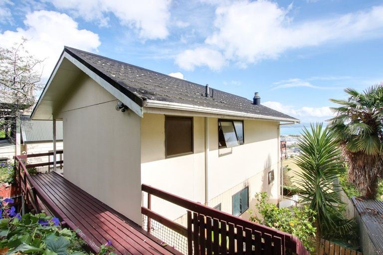Photo of property in 28 Hospital Terrace, Hospital Hill, Napier, 4110