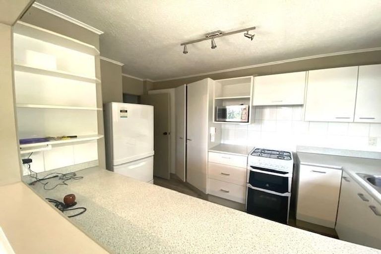 Photo of property in 1/2 Brooklyn Terrace, Brooklyn, Wellington, 6021