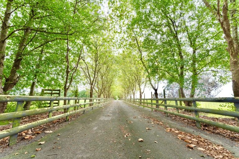 Photo of property in 962 State Highway 1 South, Manakau, Levin, 5573