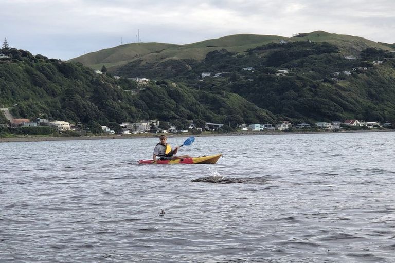 Photo of property in 20 Ocean Parade, Pukerua Bay, 5026