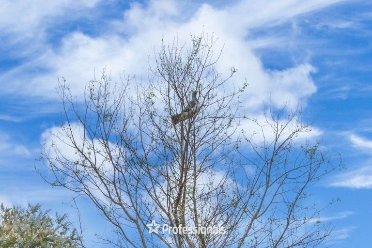 Photo of property in 199 Marchant Road, Kaitoke, Upper Hutt, 5018